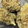 Buy Alien Dawg UK