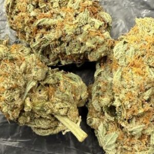 Buy Alien Dawg UK