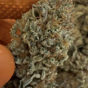 Buy Cookies Online UK