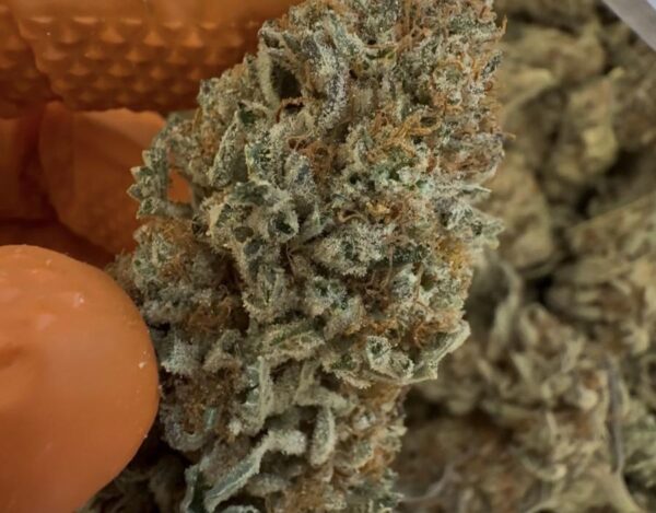 Buy Cookies Online UK