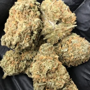 Buy Mango Haze Hybrid
