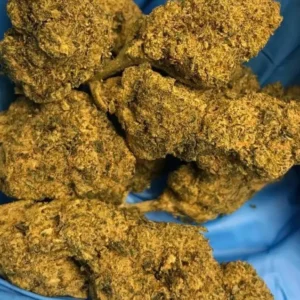 Buy Master Kush Import UK