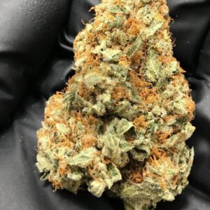 Buy Purple Cookie Dawg