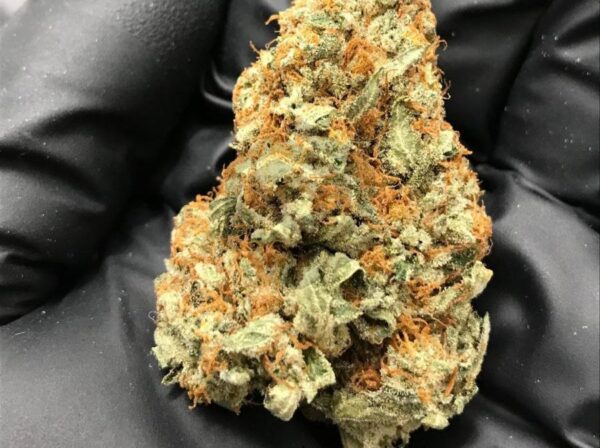 Buy Purple Cookie Dawg