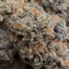 Buy Purple Guava Dawg Indica