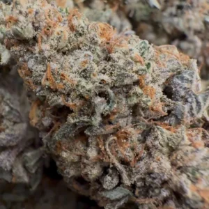 Buy Purple Guava Dawg Indica