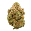 Buy Stardawg UK