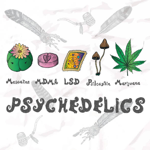 DMT vs LSD vs shrooms