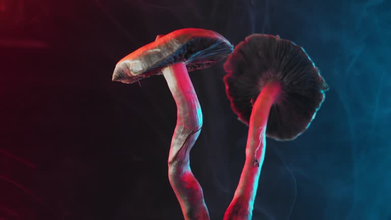 Fake Psychedelics Online
