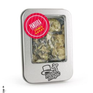 Pandora Truffles | verifieddrugsmarket.com