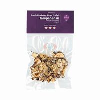 Magic Truffles Tampanensis
